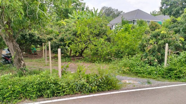 ขายที่เปล่า 100ตรว. 1.2ลบ. ฟรีโอน ใกล้ถนนซุปเปอร์-ทางรถไฟ แยกป่าแดด ต.ยางเนิ้ง อ.สารภี เชียงใหม่