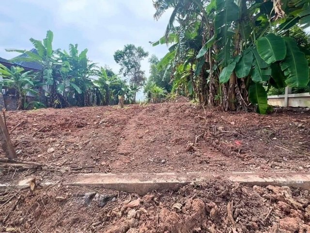 ที่ดิน ไม่เปลี่ยว - ไม่เหงา มีเพื่อนบ้าน ใกล้ทะเล 500ม. แกลง ระยอง หาดแหลมแม่พิมพ์ ที่ดินถมแล้ว แปลงมุม ความสะดวกครบครัน