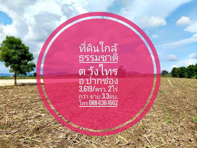 ที่ดิน ที่ดินใกล้ธรรมชาติ ซับหวาย ต.วังไทร ปากช่อง เขาใหญ่ นครราชสีมา