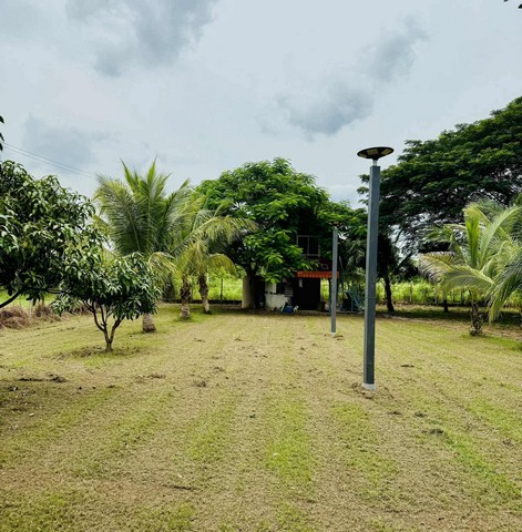 ขายที่ดินพร้อมบ้านสวน  พุแค อำเภอเฉลิมพระเกียรติ จังหวัดสระบุรี เนื้อที่ 3 ไร่ 1 งาน 94 ตารางวา