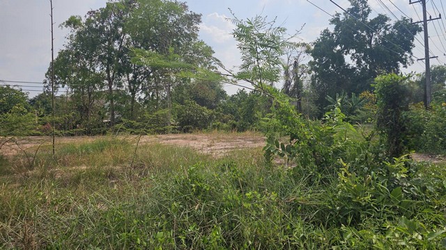 ให้เช่าที่ดินสวย ติดถนนศรีนาวา อยู่ข้างปั๊ม ปตท. ศรีนาวา อ.เมือง จ.นครนายก