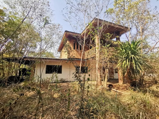 ขาย บ้านเดี่ยว ตำบล ดงเค็ง อำเภอ หนองสองห้อง ขอนแก่น PTT11996