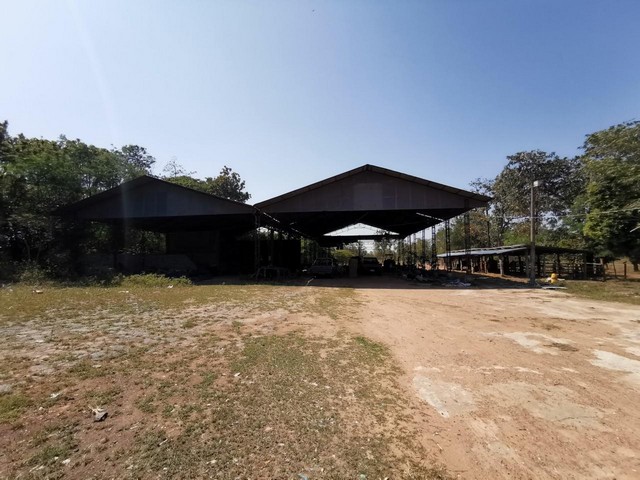 ขาย บ้านเดี่ยว ตำบล ดงเค็ง อำเภอ หนองสองห้อง ขอนแก่น PTT11996