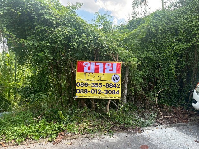 ขายที่ดิน‭ ‬ซอยแจ้งวัฒนะ 10 แยก 9-1-11 เนื้อที่ 132 ตารางวา  ทุ่งสองห้อง  หลักสี่ 