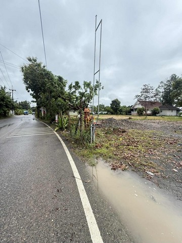 ขายที่ดิน 55ตรว. 750,000บ. ถนน น้ำ ไฟฟ้า ใกล้ตลาดป่าเหมือด ซอยบ้านแม่ดู บ้านทุ่งยาว ต.สันทรายหลวง อ.สันทราย เชียงใหม่