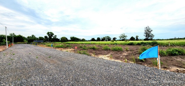 ขายที่ดิน คลอง 15 องครักษ์ ย่านตลาดค้าขายต้นไม้ 100 ตรว  เป็นที่ดินเปล่าถมแล้วบางส่วน เหมาะปลูกบ้าน ทำสวน ทำการเกษตรเล็กๆ