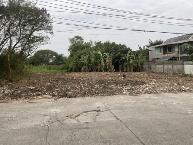 ขายที่ดินเปล่า พุทธมณฑลสาย 2 ซอย 21 เนื้อที่ 245 ตารางวา   บางไผ่   บางแค