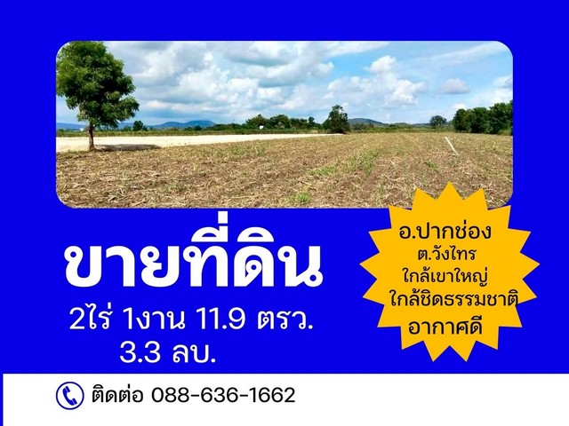 ที่ดิน ที่ดินใกล้ชิดธรรมชาติ ซับหวาย ต.วังไทร ปากช่อง เขาใหญ่ นครราชสีมา