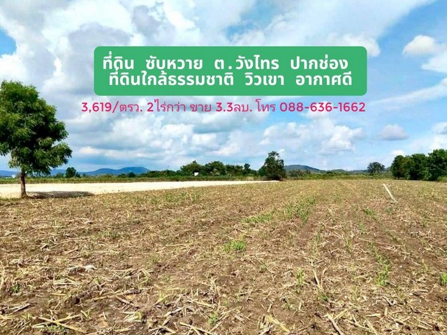 ที่ดิน ที่ดินใกล้ชิดธรรมชาติ ซับหวาย ต.วังไทร ปากช่อง เขาใหญ่ นครราชสีมา