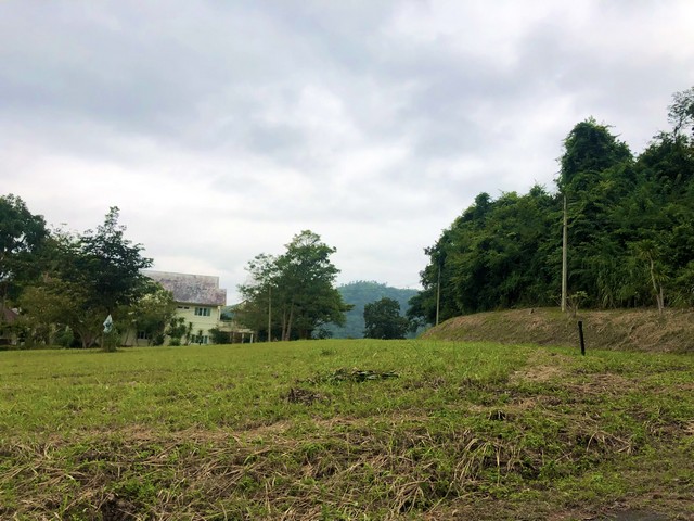 ขายที่ดิน 1-0-70ไร่ ในสนามกอล์ฟเซอร์เจมส์คันทรีคลับ Forest Hill อ.มวกเหล็ก สระบุรี แปลงมุม ฟรีเมมเบอร์กอล์ฟตลอดชีพด้วย