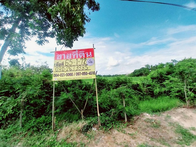 ขายที่ดินทำเลทอง  47 ไร่ 26 ตร.วา.  วังม้า  ลาดยาว  นครสวรรค์  ZK525