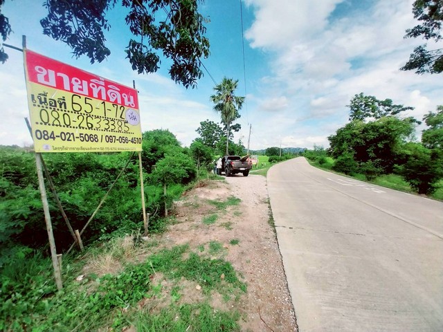 ขายที่ดินทำเลทอง  47 ไร่ 26 ตร.วา.  วังม้า  ลาดยาว  นครสวรรค์  ZK525