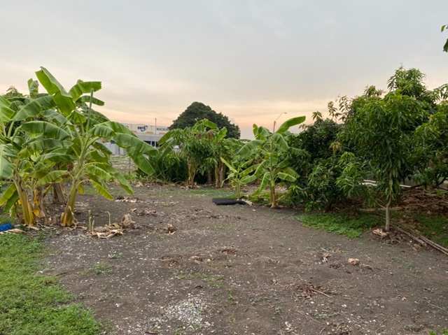 Airport link ลาดกระบัง 2 กม.ติดคลอง ลาดกระบัง1-9 อ่อนนุช ให้เช่าที่ดินถมแล้ว ทำร้านกาแฟ 100 ตรว. 400 ตรม.