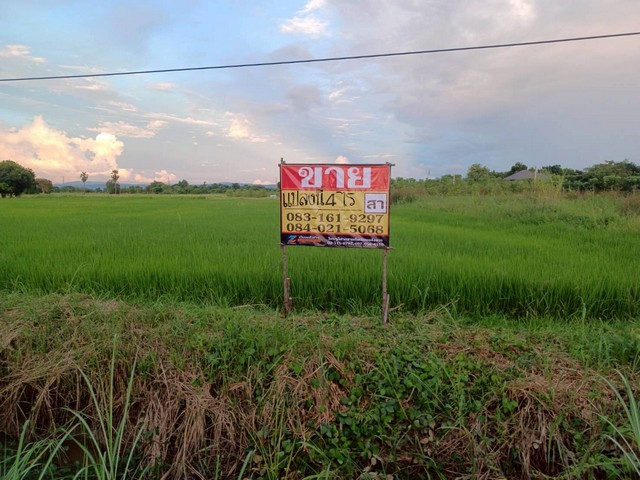 ขายที่นาราคาถูก 4-0-0 ไร่  ทำเลดี ติดทางหลวงชนบท  บ้านสระโคล่  ห้วรอ  เมืองพิษณุโลก