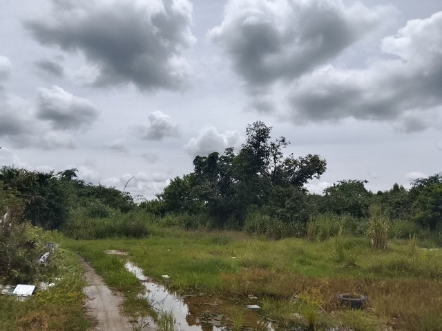 ขายที่ดินบ้านบึงชลบุรี ขายที่ดินถมแล้วใกล้ตัวเมืองบ้านบึง 365 ตรว.  เหมาะปลูกบ้าน ทำบ้านขาย ห้องแถว โกดัง