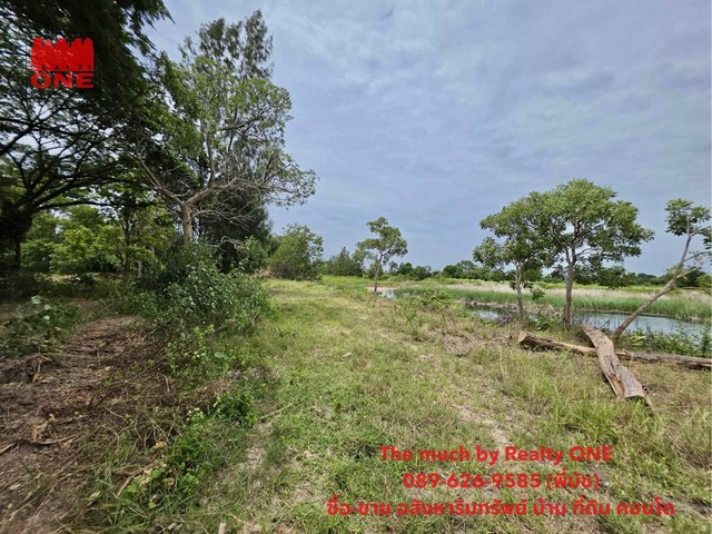 ขายที่ดินเปล่าแปลงสวย เนื้อที่ 10 ไร่ เพียง2.5ล้านบาท อำเภอพระทองคำ จ.นครราชสีมา