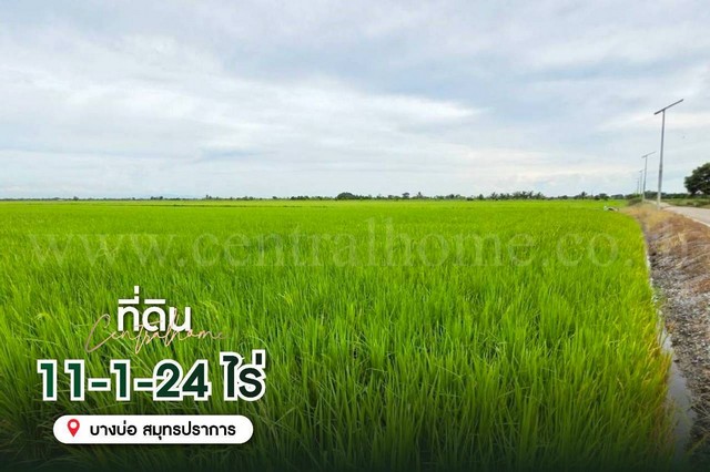 ที่ดินเปล่า 11-1-24 ไร่ คลองนิยมยาตรา บางบ่อ ทำเลดี ติดถนนหลัก