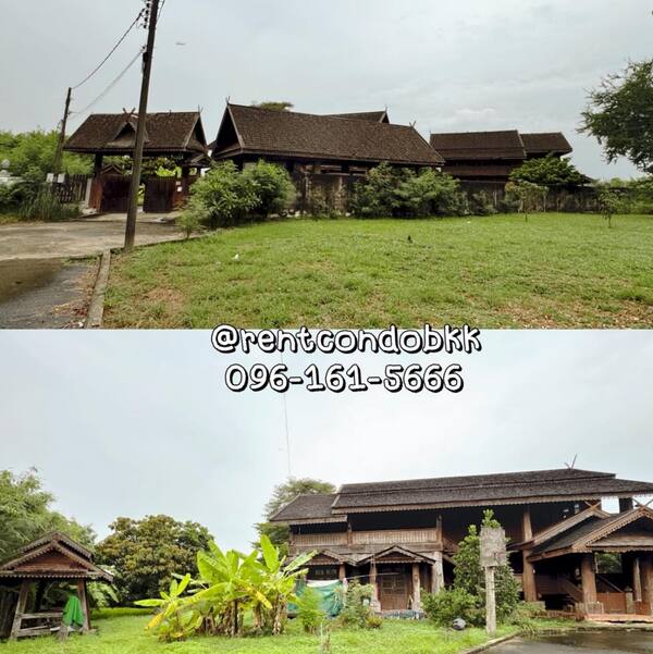 ขายบ้านไม้สักทองทรงล้านนา – บรรยากาศรีสอร์ท ติดทะเลสาบ หมู่บ้านกฤษดานคร 25 มีนบุรี กรุงเทพฯ แปลงมุม พื้นที่ 1 ไร่ 25 ตร.ว.