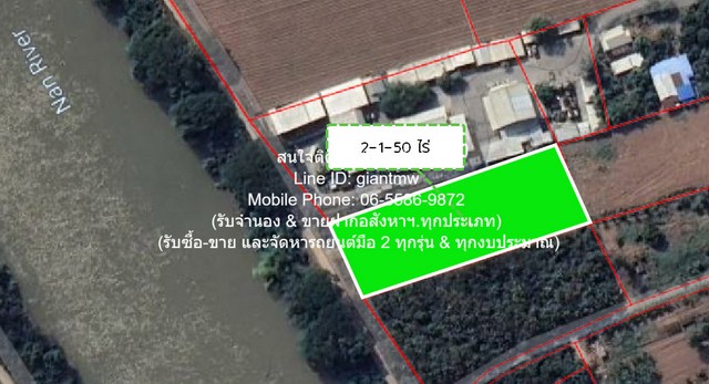 พื้นที่ดิน ขายที่ดินถมแล้วติดถนน (ติดแม่น้ำน่าน) อ.เมืองพิษณุโลก จ.พิษณุโลก 2-1-50 ไร่ (950 ตร.ว.) ราคา 3,562,500 บาท  50 SQ.WA 1 ngan 2 Rai  ไม่ไกลจาก มหาวิทยาลัยนเรศวร สภาพแวดล้อม-ดี