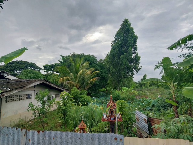 ขายที่ดินติดถนนคลอง7ลำลูกกาใกล้ศูนย์กระจายสินค้าเทสโก้โลตัส 56 ไร่ เหมาะทำโครงการบ้านขาย ทำจัดสรรแบ่งแปลงที่ดินขาย ทำโกดัง ทำโรงงาน