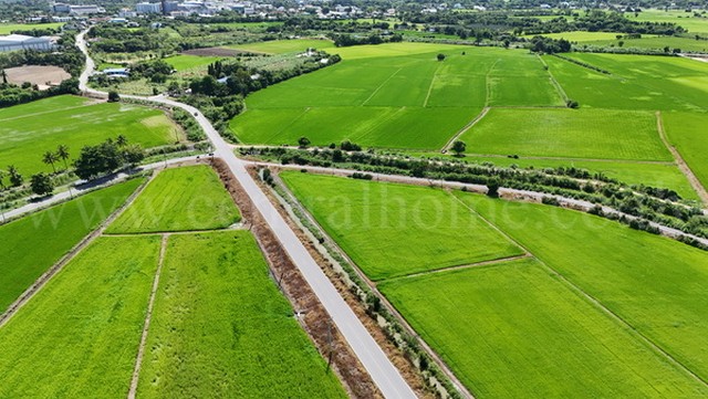 ขายด่วน ที่ดินเปล่า 3 แปลง 22 ไร่ 66 ตารางวา ย่านยาว สามชุก สุพรรณบุรี