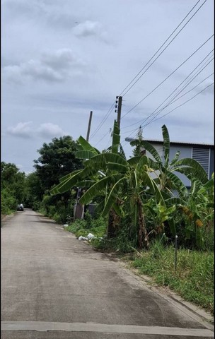 ขายที่ถมแล้ว  94  ตรว. ใกล้สถานีรถไฟฟ้าสายสีชมพู เมืองทองธานี ต.บ้านใหม่  อ.ปากเกร็ด(ตลาดขวัญ)  จ.นนทบุรี
