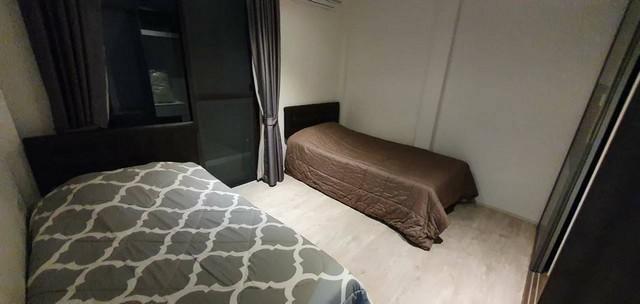 ให้เช่าบ้านเดี่ยว 3 ชั้น 300 ตร.ม. โครงการ เอคิว อาร์เบอร์ สวนหลวง ร.9 ซอย 48 พัฒนาการ