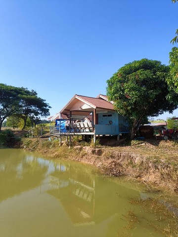 ขายที่ดินทำเลทอง 20 ไร่ ตำบลสีออ อำเภอกุมภวาปี จังหวัดอุดรธานีที่ตั้ง : ตำบลสีออ อำเภอกุมภวาปี จังหวัดอุดรธานี 41110https://maps.app.goo.gl/CRXBtmWCGzX3FkSSAขนาดที่ดิน : 20 ไร่รายละเอียดขายที่ดิน 20 ไร่ ที่ดินพร้อม บ้านสวน สระ โรงวัวที่ดินทำเลสวยติดถนนมีน้ำ -ไฟ สถานที่ใกล้เคียง- โรงเรียนบ้านกุดขนวน- วัดป่าท่าสิมมา- วัดป่าศรัทธาธรรม ราคา 2,800,000 บาทสนใจติดต่อคุณไพบูลย์โทร 081-720-1511