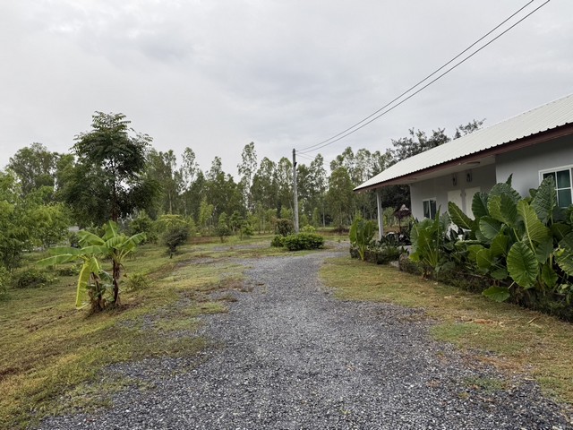 ขายที่ดินทำเลดี แปลงสวย ติดถนน 3 ด้าน พร้อมสวนไผ่ และ สวนป่า พร้อมบ้านพัก เจ้าของขายเอง ตำบลสระกระโจม อำเภอดอนเจดีย์  จังหวัดสุพรรณบุรี