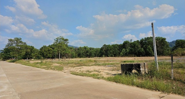  ให้เช่าที่ดินเปล่าแปลงสวย ทำเลศักยภาพ — ตำบลคึกคัก อำเภอตะกั่วป่า จังหวัดพังงา  ทำเลดี ใกล้แหล่งชุมชน เดินทางสะดวก ห่างจากถนนสายหลัก ถนนเพชรเกษม เพียง 2 กม. ราคาเช่า: 150,000 บาท / เดือน ขนาดพื้นที่ : •2 ไร่ 2 งาน 10.8 ตารางวา •หน้ากว้างติดถนนเทคอนกรีต •พื้นที่สีเขียวลาย — เหมาะสำหรับทำโครงการ / ปลูกสร้าง / เกษตรกรรม สถานที่ใกล้เคียง •หนองมูลตะกั่ว — 300 ม. (จุดชมวิว/พักผ่อน) 