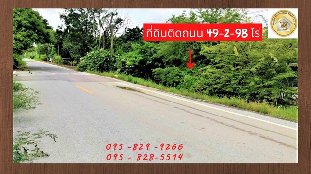 ขายถูกที่ดิน 49-2-98 ไร่ มีรายได้ทุกเดือน ติดถนนคอนกรีต 4 เลนเลียบคลอง11 น้ำไฟฟ้าพร้อมทำเกษตรหรือแบ่งแปลงขาย อ.หนองเสือ ปทุมธานี