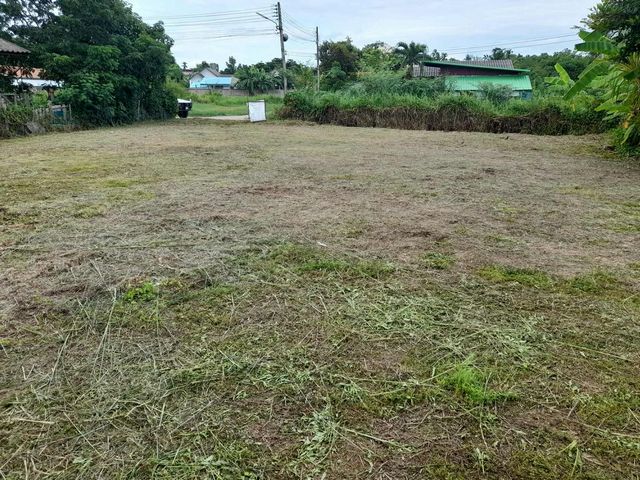 โซนสันทราย #ขาย 2.9 ล้านบาท ที่ดินเปล่า 133 ตารางวา เหมาะสำหรับทำบ้านเดี่ยว ออฟฟิศ โกดัง ห่างถนนใหญ่เพียง  20 เมตร น้ำประปาไฟฟ้าพร้อม