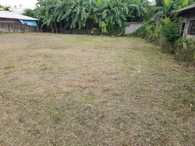 โซนสันทราย #ขาย 2.9 ล้านบาท ที่ดินเปล่า 133 ตารางวา เหมาะสำหรับทำบ้านเดี่ยว ออฟฟิศ โกดัง ห่างถนนใหญ่เพียง  20 เมตร น้ำประปาไฟฟ้าพร้อม