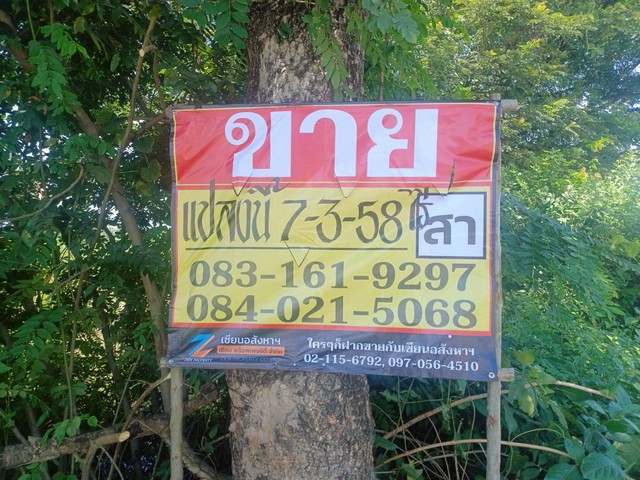ขายที่ดินราคาถูก 7-3-58 ไร่   ทำเลดี ติดถนนสายหลัก บ้านเนินมะครึด  เมืองพิษณุโลก   ZK564