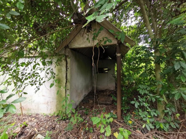 ขาย โรงงาน พนัสนิคม ซอย บ้านหนองยาง 26 โรงงาน ชลบุรี