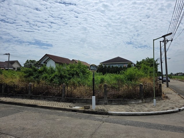 ขายที่ดิน ซอยคุ้มเกล้า ลาดกระบัง 205ตรว. หมู่บ้าน ศุภาลัย เลค2 แปลงมุม เข้าไม่ลึก