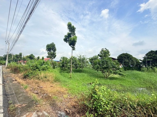 ที่ดินเปล่า 266 ตร.วา ท่าอิฐ 15 แยกตาลเดียว - วัดบางบัวทอง นนทบุรี