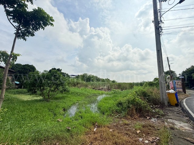 ที่ดินเปล่า 266 ตร.วา ท่าอิฐ 15 แยกตาลเดียว - วัดบางบัวทอง นนทบุรี