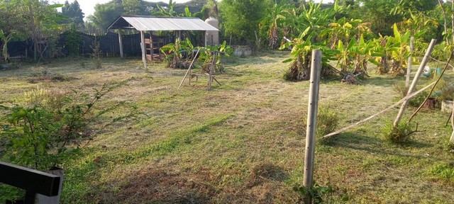 ขายที่ดินสันกำแพง  จังหวัดเชียงใหม่ เนื้อที่ 1 ไร่ 1 งาน 80 ตารางวา