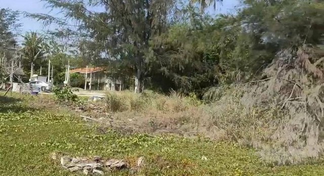 ขายที่ดินติดทะเล หาดกระทิงลาย พัทยา บางละมุง ชลบุรี FP-L01256