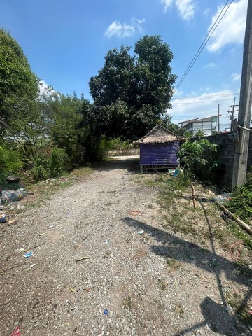 ขายที่ดินพร้อมสิ่งปลูกสร้าง กิจการห้องแถว บึง ศรีราชา ชลบุรี FP-L01255 