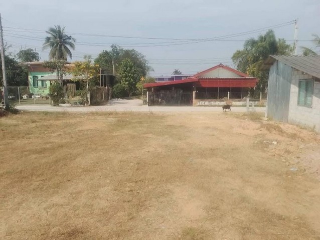 ขายที่ดินพัทยา วิวภูเขา สวยทุกมุมมอง ใกล้แหล่งท่องเที่ยวชื่อดัง FP-L01251