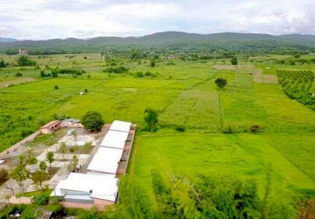 ขายด่วนที่ดินสวย ทำเลดี ยกแปลง โซนแม่แตง                 