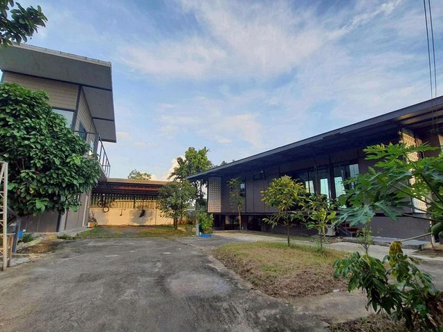 ให้เช่าบ้าน พร้อมร้านค้า แม่คือ โซนดอยสะเก็ด           