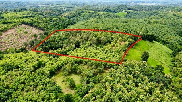 ขายที่ดิน อำเภอปัว จังหวัดน่าน เป็นที่ดินเนินเขา ทำเลดี บรรยากาศดี 