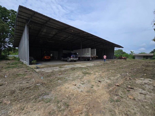 ให้เช่าที่ดินพร้อมโกดังเนื้อที่ 5 ไร่ มาบไผ่บ้านบึงชลบุรี พื้นที่ใช้สอยประมาณ 400ตารางเมตร