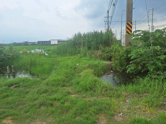 ขายที่ดินคลอง 13 ติดถนนใหญ่ 27 ไร่ (แบ่งขาย 16 ไร่ได้)