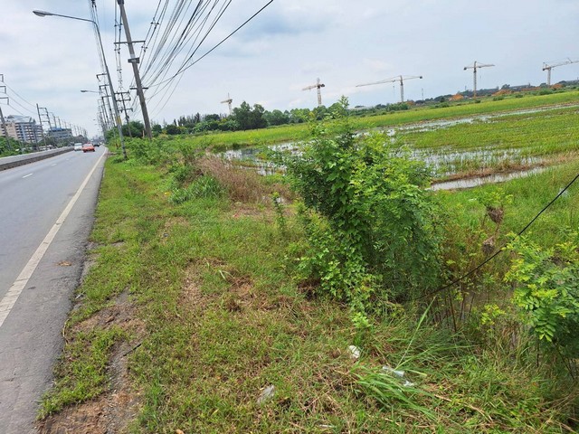 ขายที่ดินติดถนนใหญ่ ลำลูกกา 60 ไร่ ใกล้ทางด่วนฉลองรัช