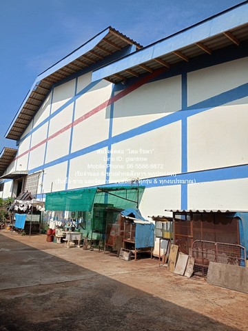 โรงงาน ขายโรงงาน (สำนักงาน และโกดัง) อ.เมือง จ.สมุทรสาคร 4-1-61 ไร่ ราคา 45 ล้านบาท ไม่ไกลจาก ศูนย์กระจายสินค้าแมคโครมหาชัย 45000000 thb 2BR12BATHROOM ขนาดพื้นที่ 16 sq.wa 1 ngan 4 RAI ทำเลดีเยี่ยม สมุทรสาคร   