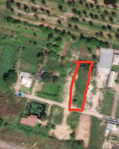 ขายที่ดินศรีราชาชลบุรี ขายที่ดินเนื้อที่ 1 ไร่ บางพระ ศรีราชา ชลบุรี พื้นที่สีเหลือง ใกล้กับเขาเขียว